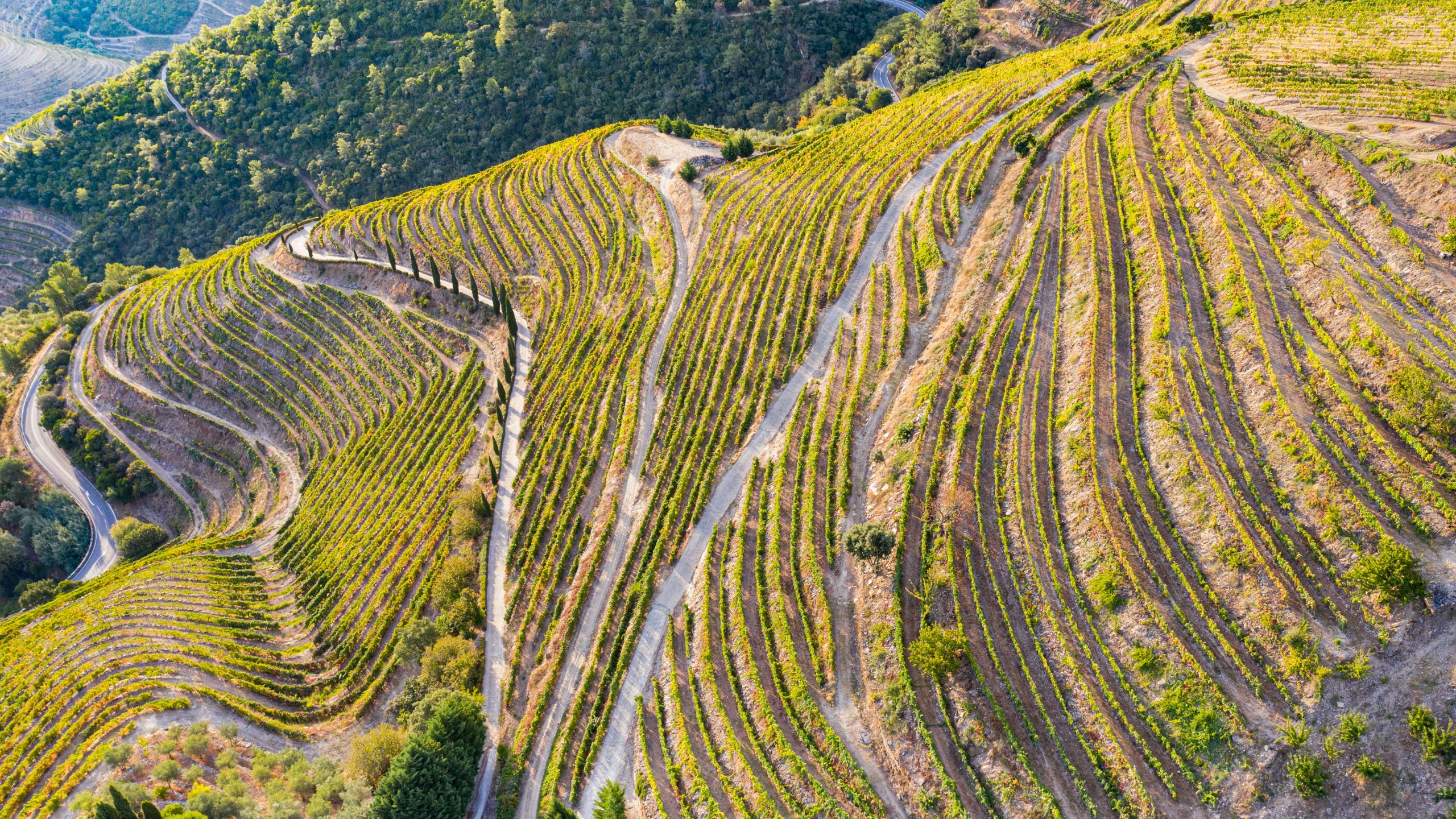 Douro valley portugal